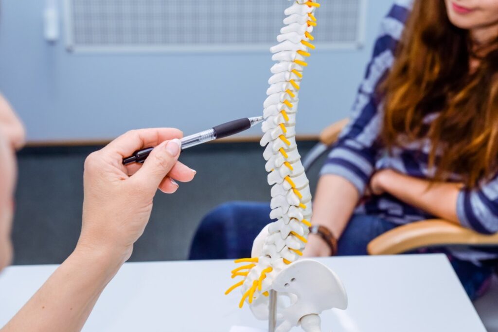 A doctor explains the anatomy of the spine to a patient
